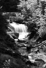 naturesdrinkingfountain