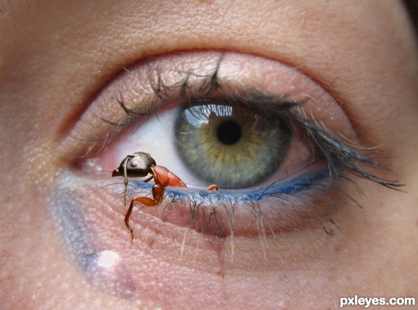 Creation of Eye-Ant: Final Result
