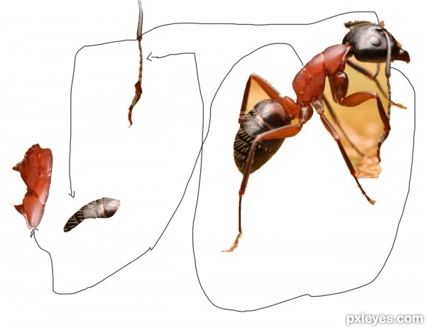 Creation of 49th sense: Step 4