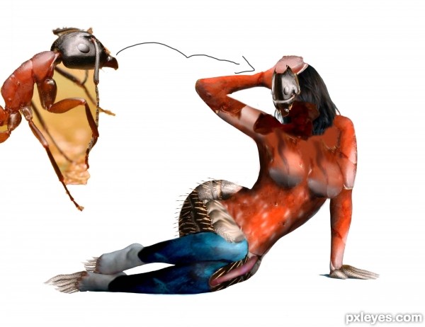 Creation of 49th sense: Step 13