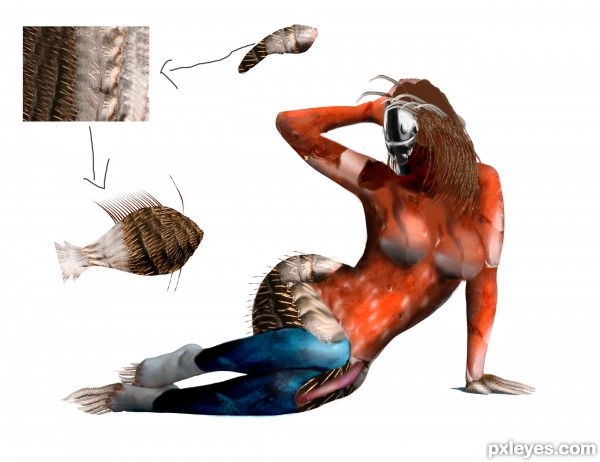 Creation of 49th sense: Step 17