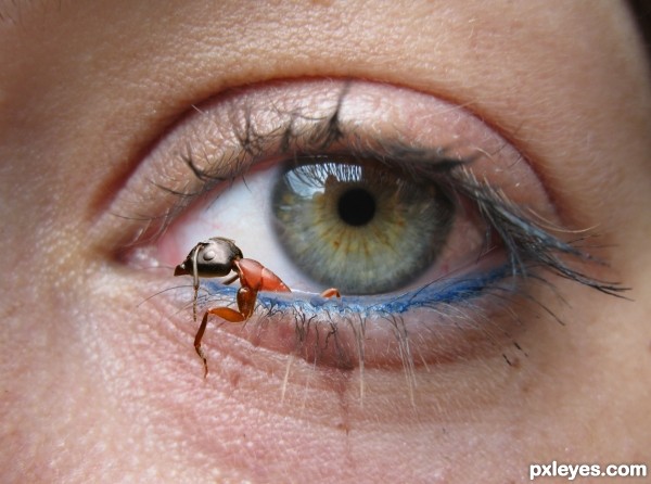 Creation of Eye-Ant: Step 4