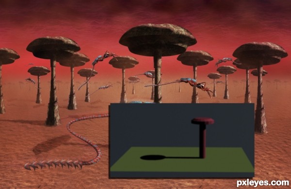 Creation of Stingerlisks' Colony : Step 8