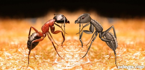 Creation of Nature vs Tech: Step 3