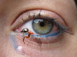 Eye-Ant