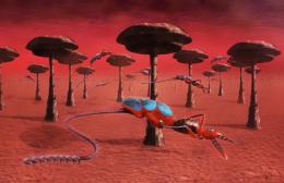 Stingerlisks Colony