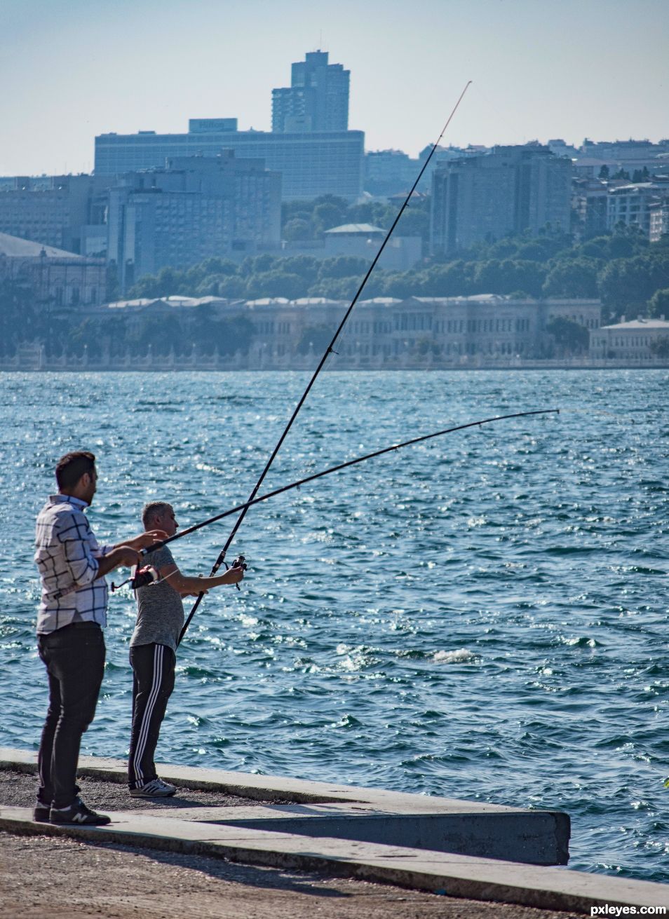 On the jetty