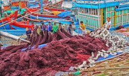 Commercial Fishermen