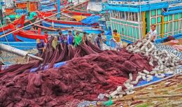 Commercial Fishermen