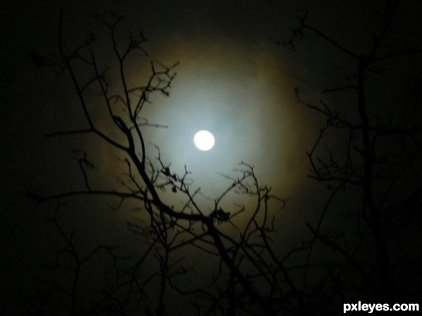 spooky moon