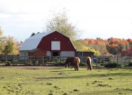 Fall Setting on the farm