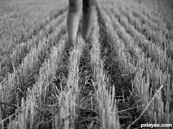 Walking on field