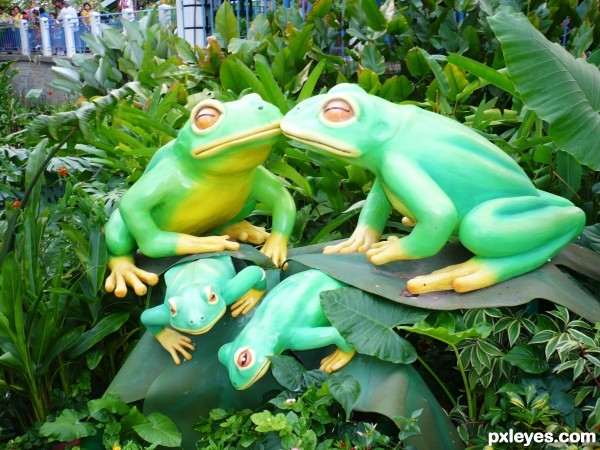 Froggy family