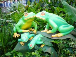 Froggyfamily