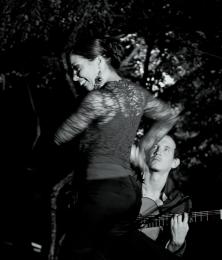 flamenco