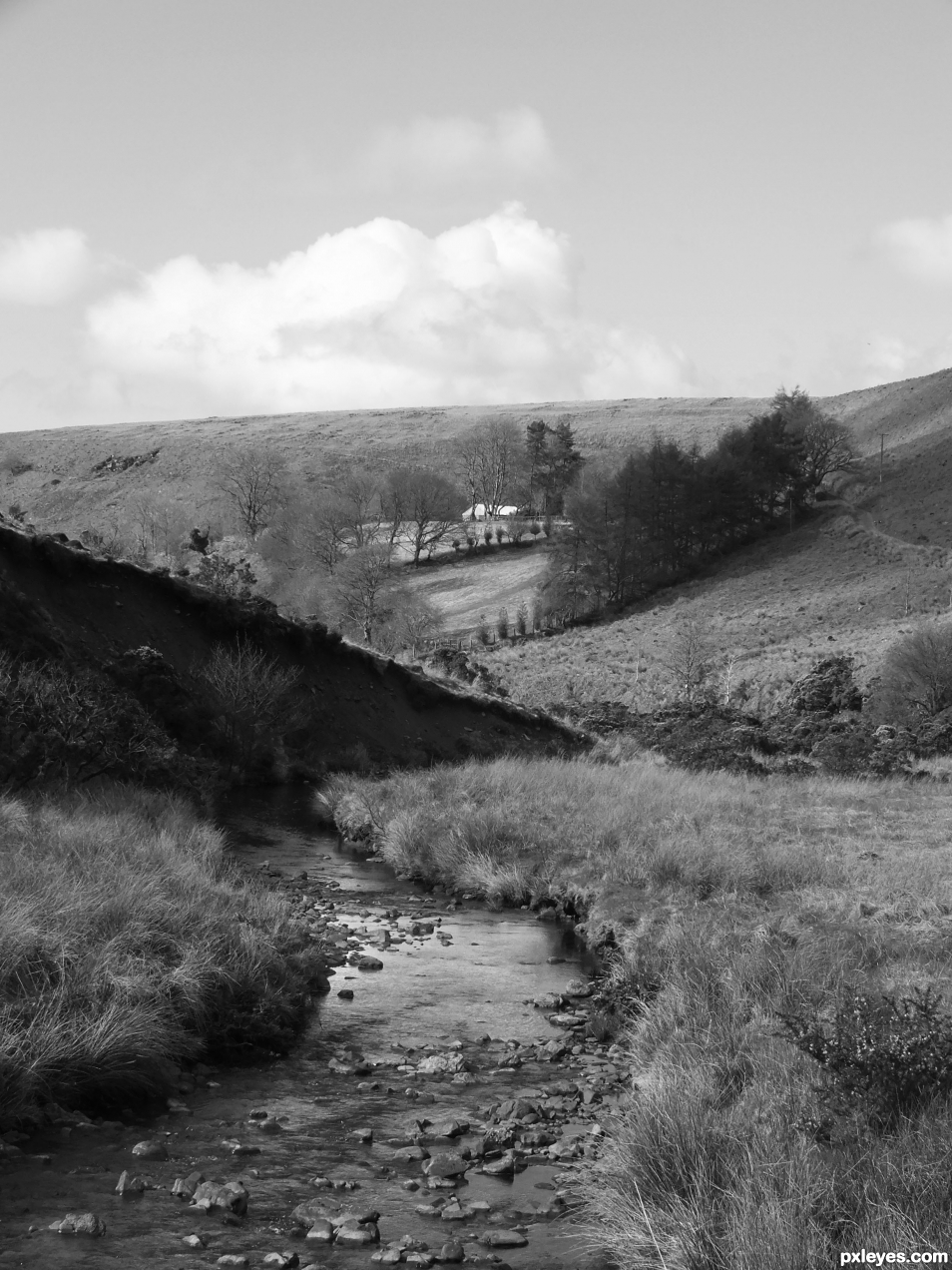 Mountain stream