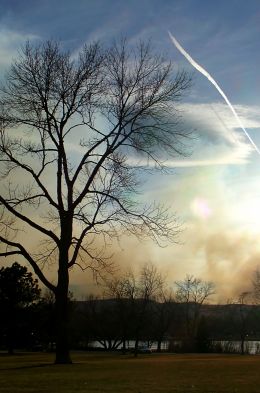 Shadow of the Contrail