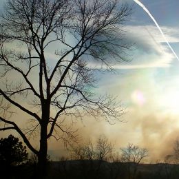 ShadowoftheContrail