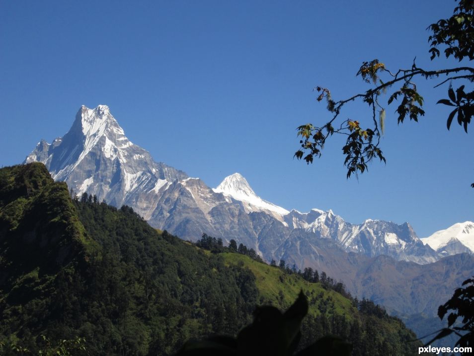 Mount Fistail; Lure of the Trekkers