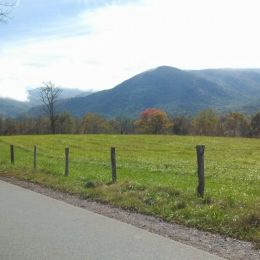 Great Smokey Mountains Picture