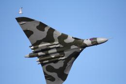 Vulcan Bomber & Mr Seagull