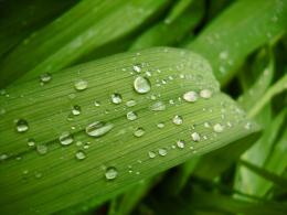 waterdrops