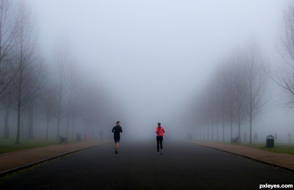 The Morning Jog