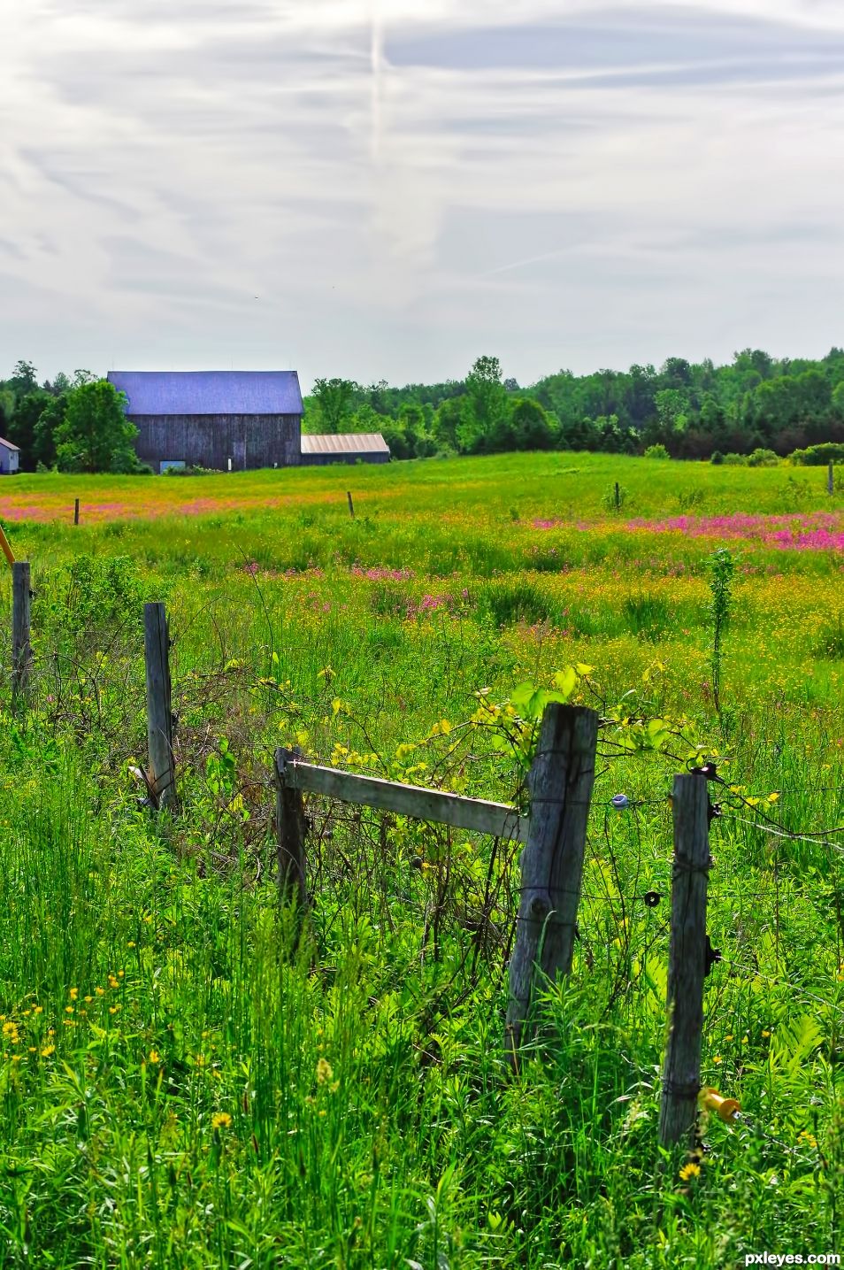 Farmers Field