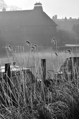 Misty River