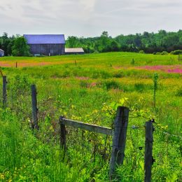 FarmersField