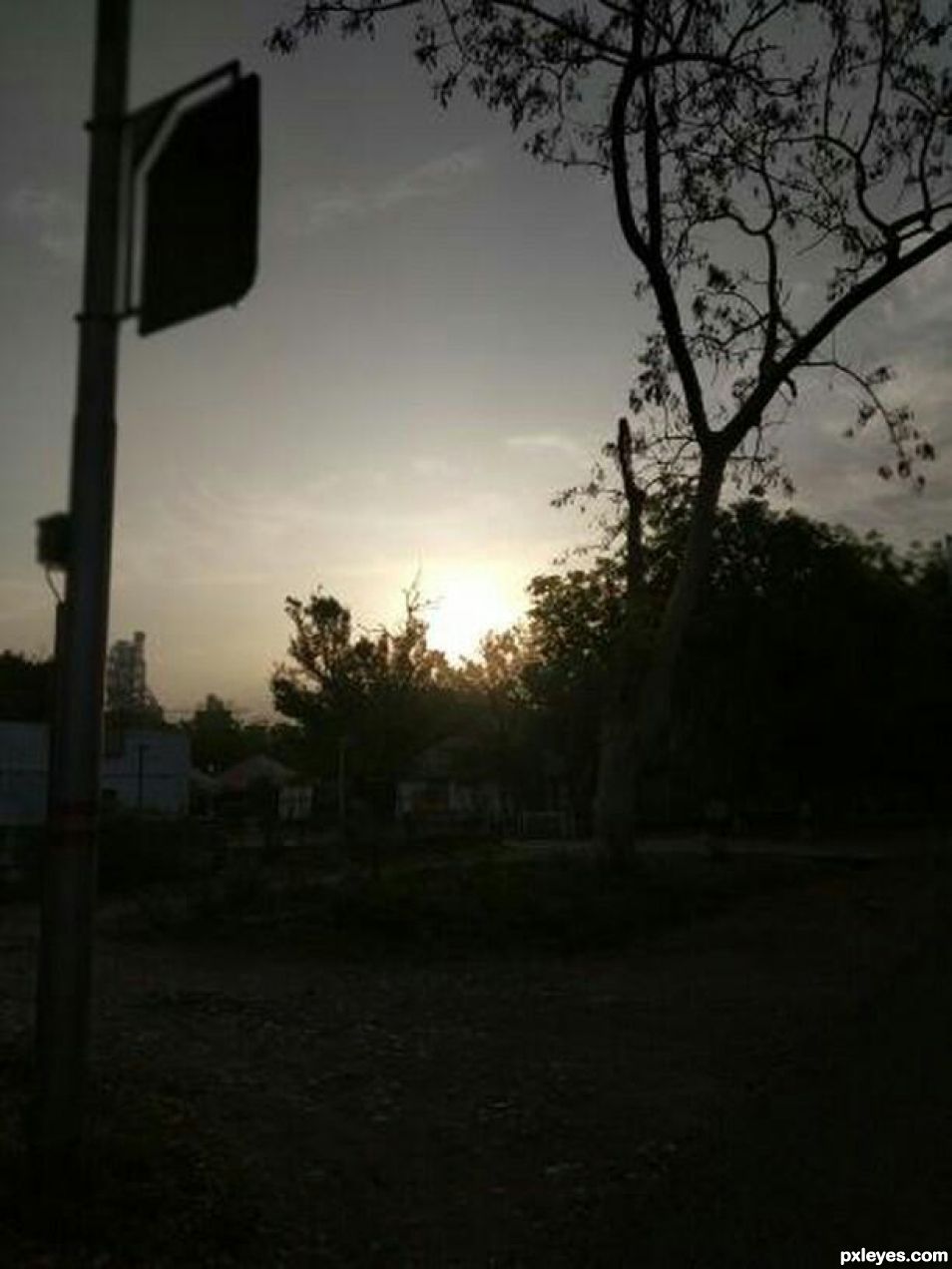 My mobile morning shot