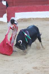 corrido toros