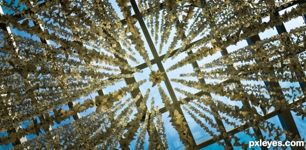 Ceiling Decoration