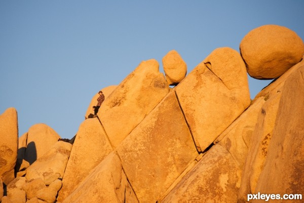 Late Afternoon at Joshua Tree