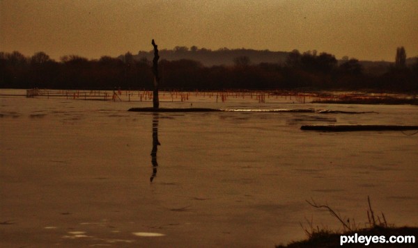 Tranquil Nature Reserve 