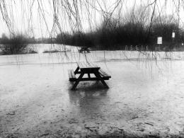 Lone Bench 