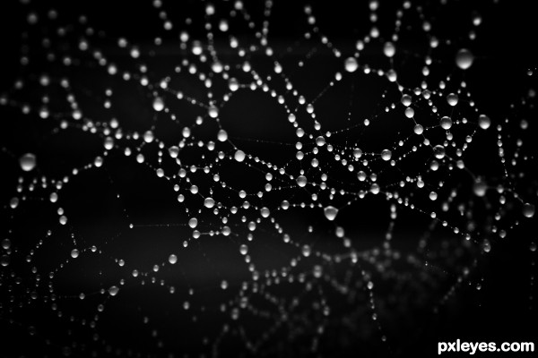 Droplets of Web