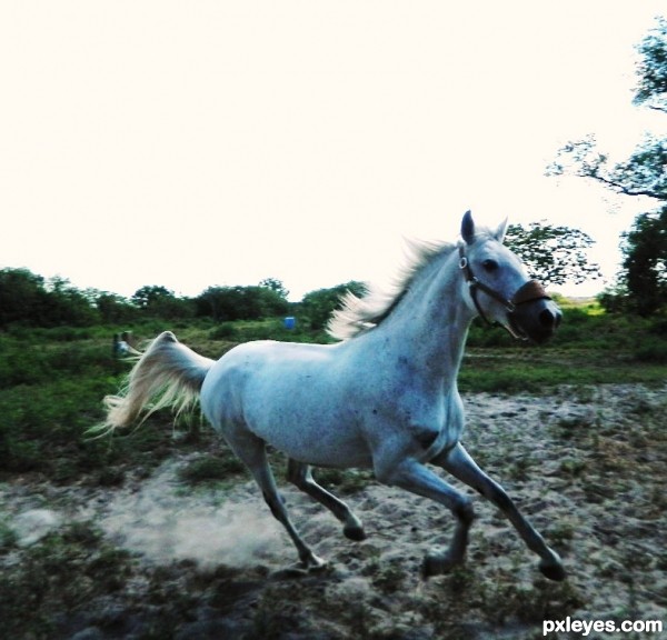 Running With the Wind