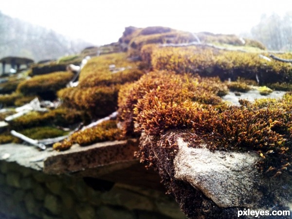 Stone roof