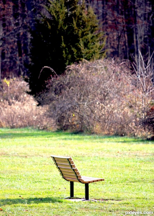 lonely bench