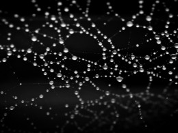 DropletsofWeb