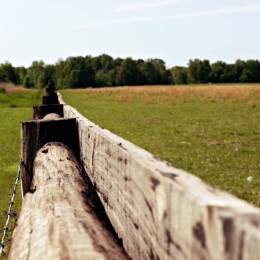 Fenced Picture