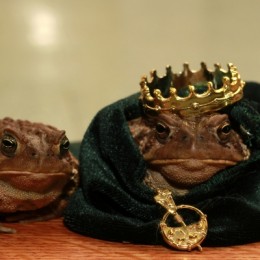 KingToadandHisQueen