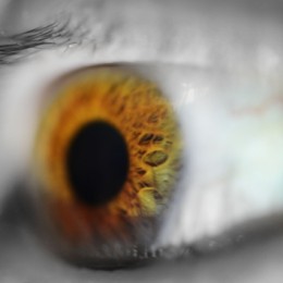 The Eye