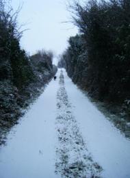 A Winter Walk