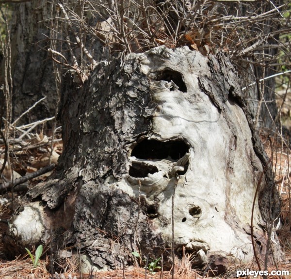 Death sprouts from death