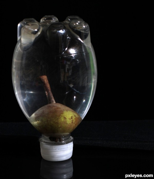 Pear in a Bottle