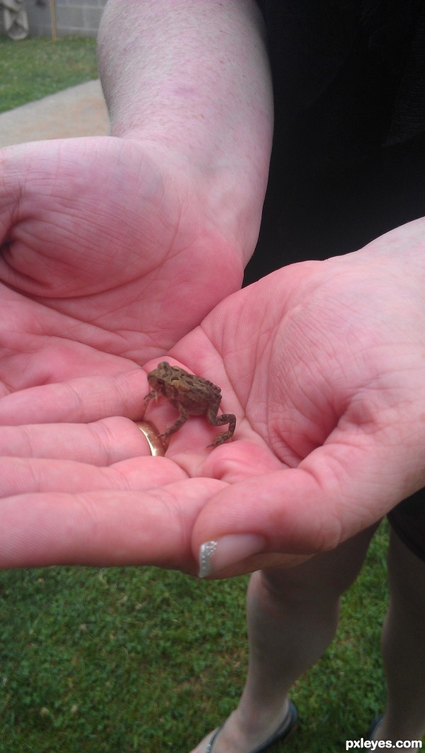 little froggy