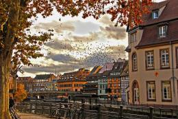 Fall in Strasbourg