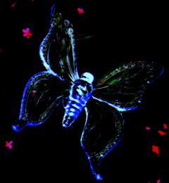 LED Butterfly